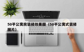 50平公寓房装修效果图（50平公寓式装修图片）