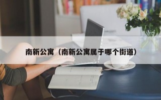 南新公寓（南新公寓属于哪个街道）